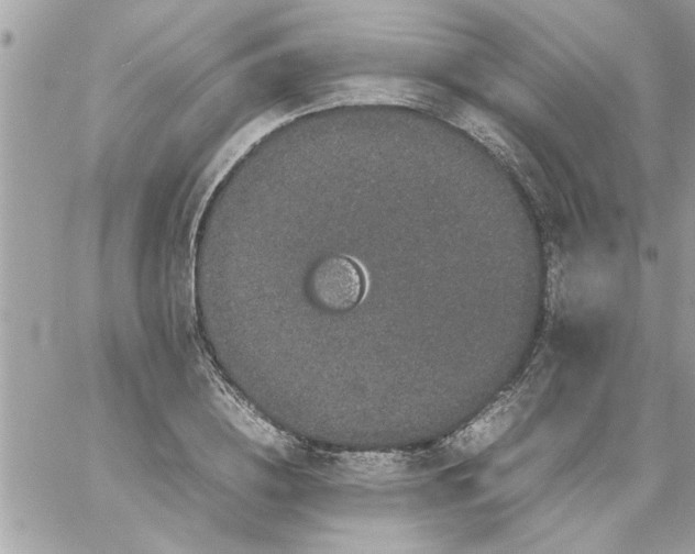 X0000057100836200510071935