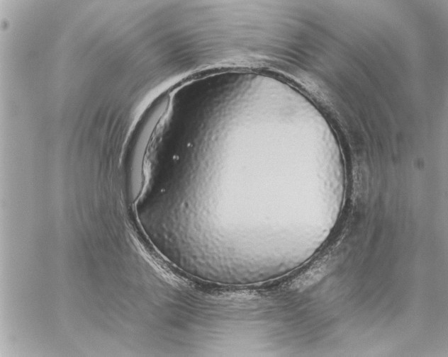 X0000057100838200510071935