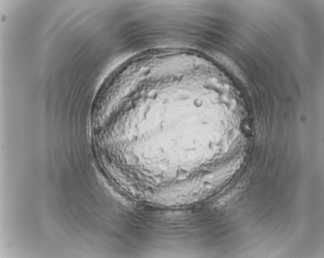 X0000057100839200510071935