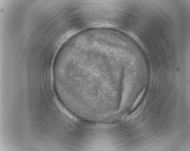 X0000057100840200510071935