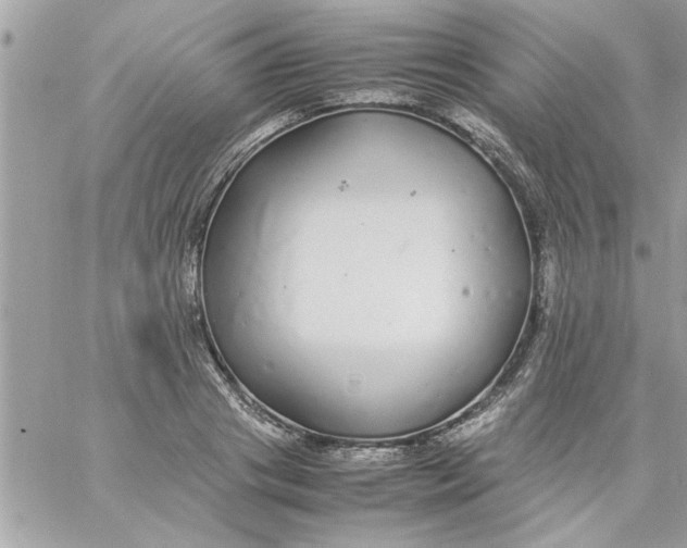 X0000057100841200510071935