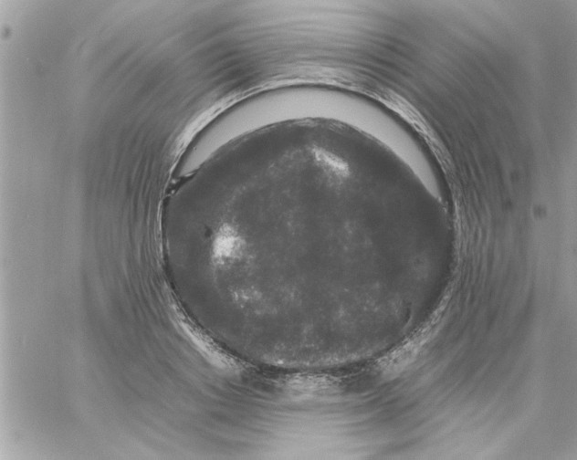 X0000057100842200510071935