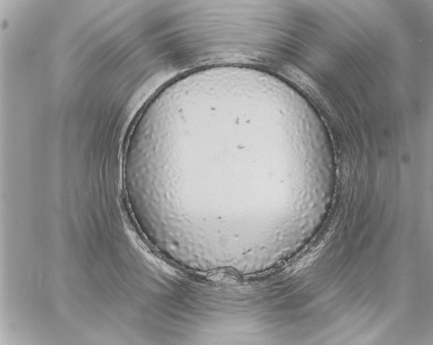 X0000057100844200510071935