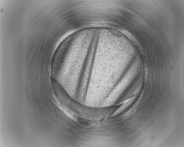 X0000057100846200510071935