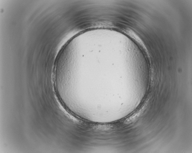 X0000057100847200510071935