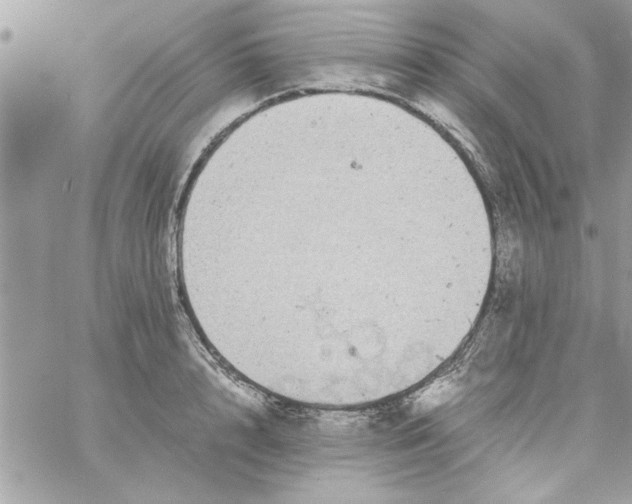 X0000057100848200510071935