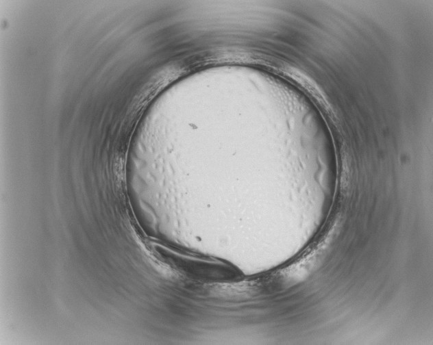 X0000057100849200510071935