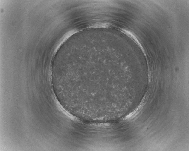 X0000057100851200510071935