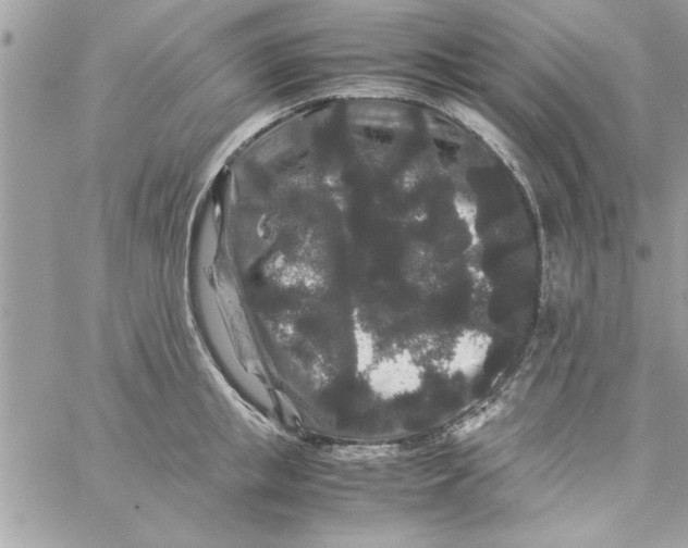 X0000057100853200510071935