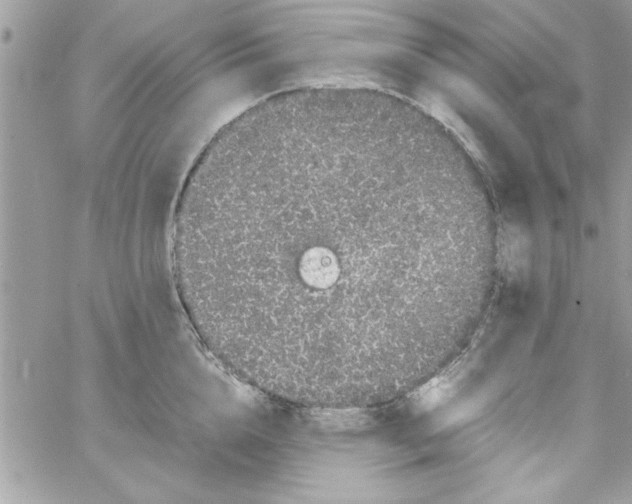 X0000057100856200510071935