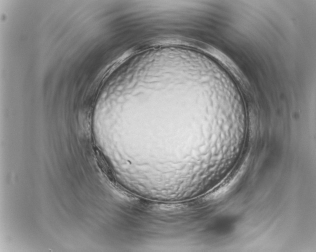 X0000057100857200510071935