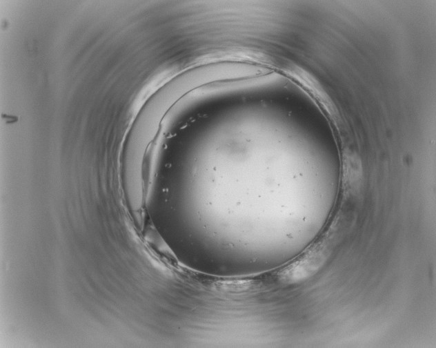 X0000057100858200510071935