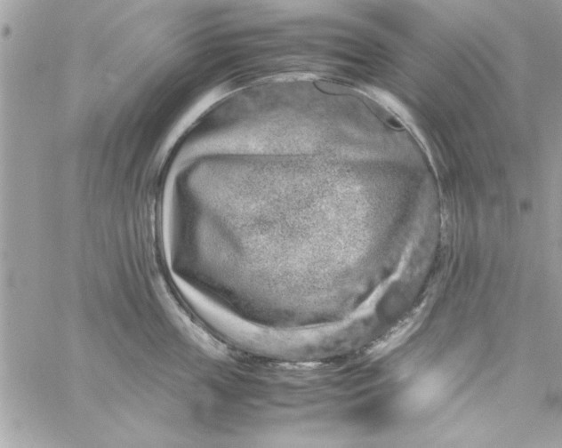 X0000057100859200510071935