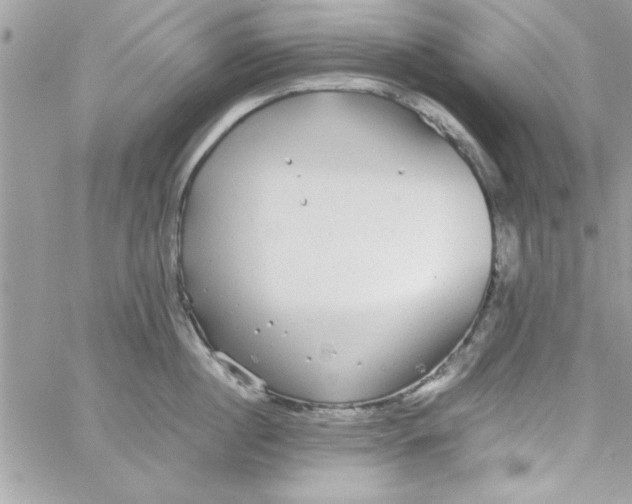 X0000057100860200510071935