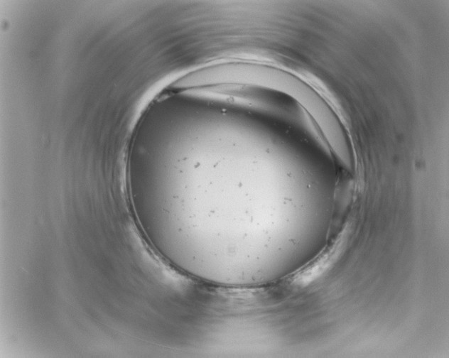 X0000057100862200510071935