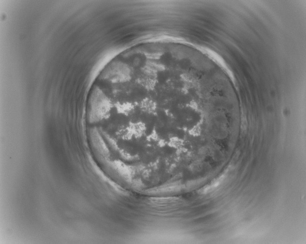 X0000057100863200510071935