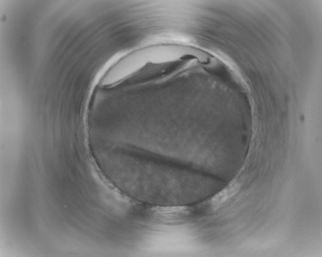 X0000057100864200510071935