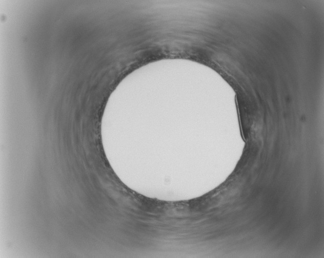 X0000057100865200510071934