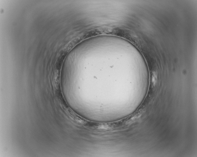 X0000057100867200510071934