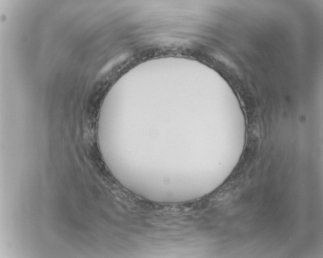 X0000057100869200510071934