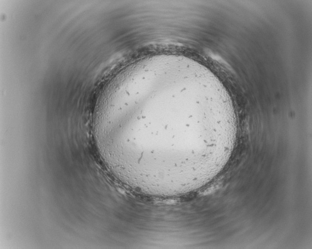 X0000057100870200510071934