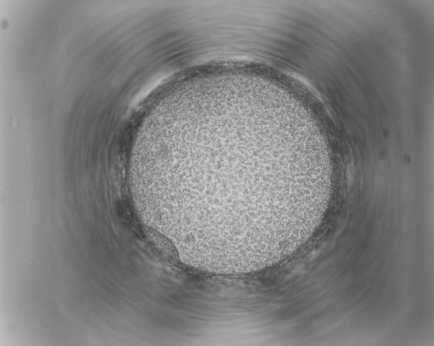 X0000057100871200510071934