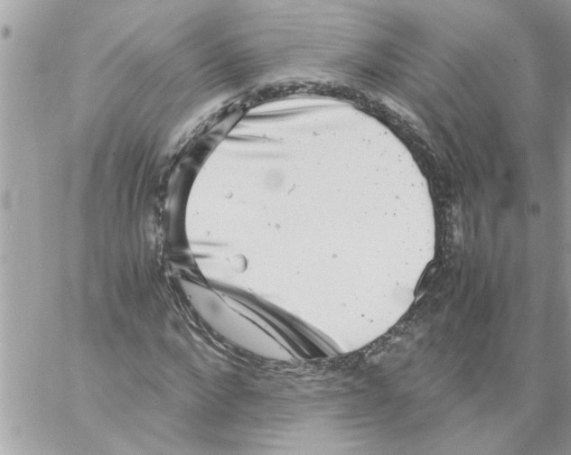 X0000057100872200510071934