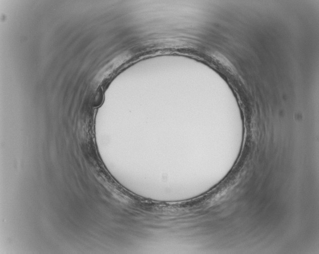 X0000057100873200510071934