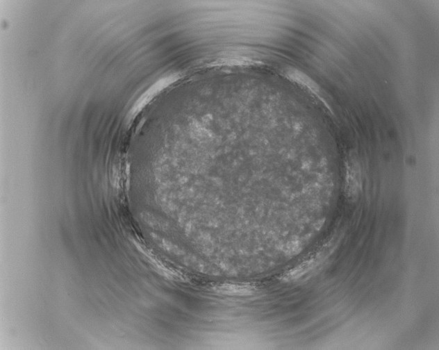 X0000057100874200510071934