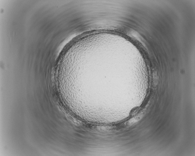 X0000057100875200510071934