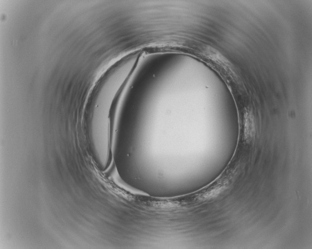 X0000057100876200510071934