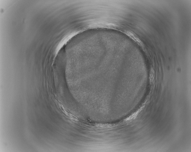 X0000057100877200510071934