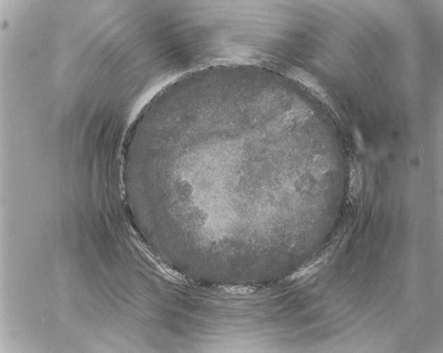 X0000057100878200510071934