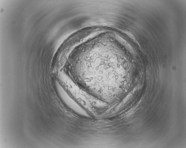 X0000057100879200510071934