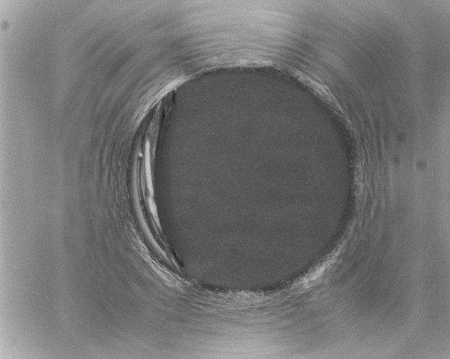 X0000057100881200510071934