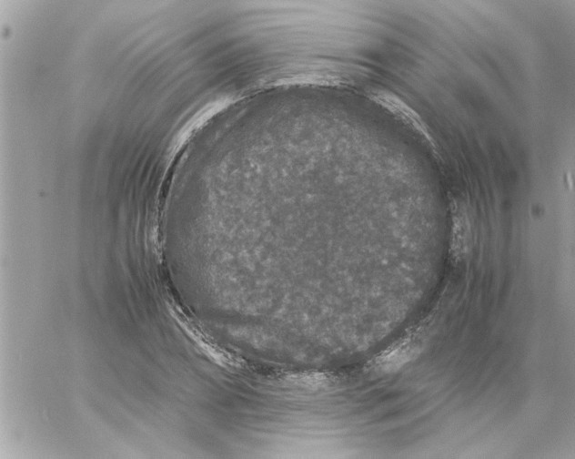 X0000057100882200510071934