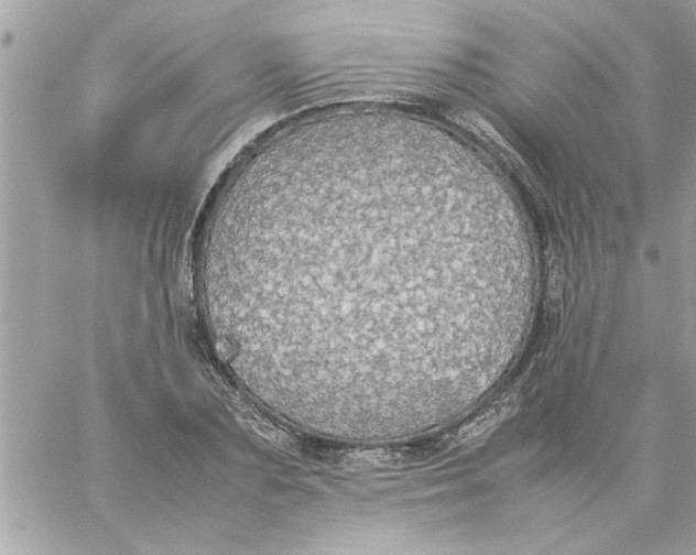 X0000057100883200510071934