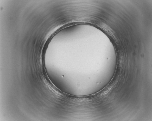 X0000057100884200510071934