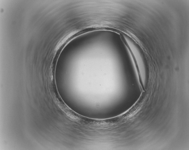 X0000057100885200510071934