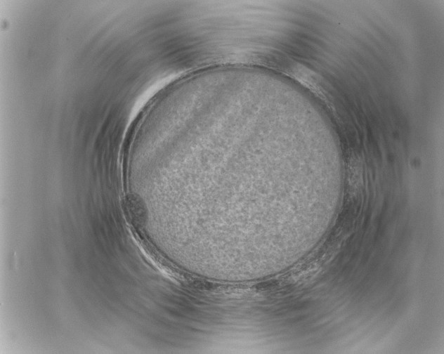 X0000057100886200510071934