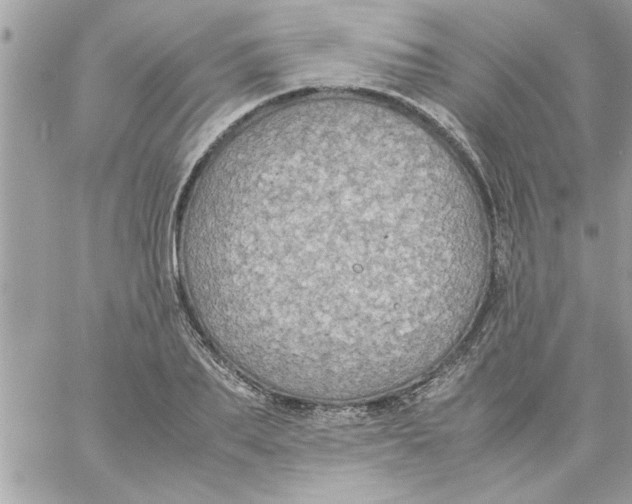 X0000057100887200510071934