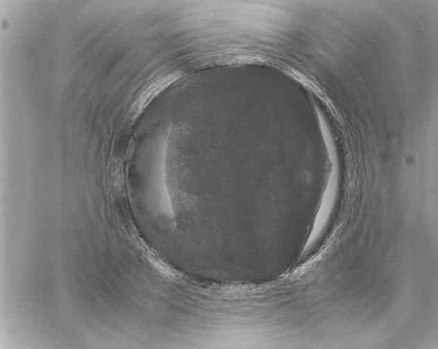 X0000057100889200510071934