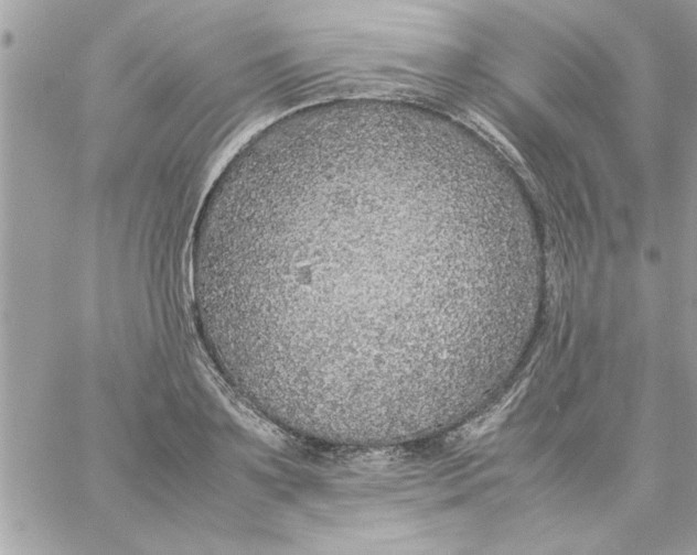 X0000057100891200510071934