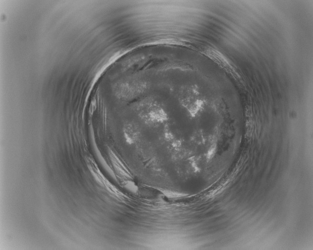 X0000057100892200510071934