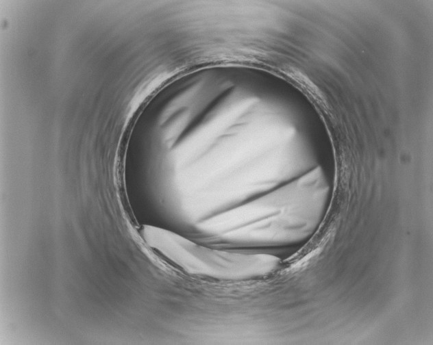 X0000057100893200510071934