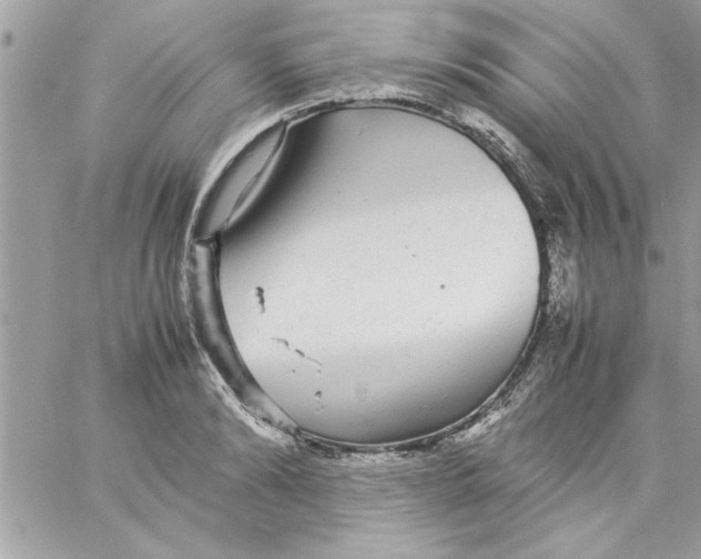 X0000057100894200510071934