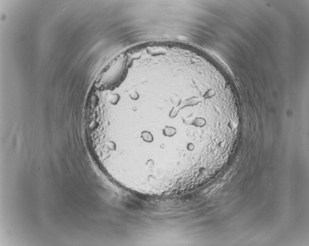 X0000057100895200510071934