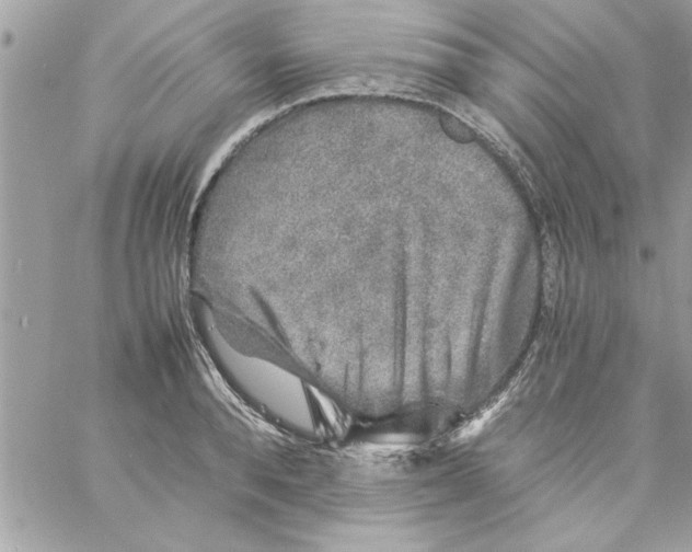 X0000057100896200510071934