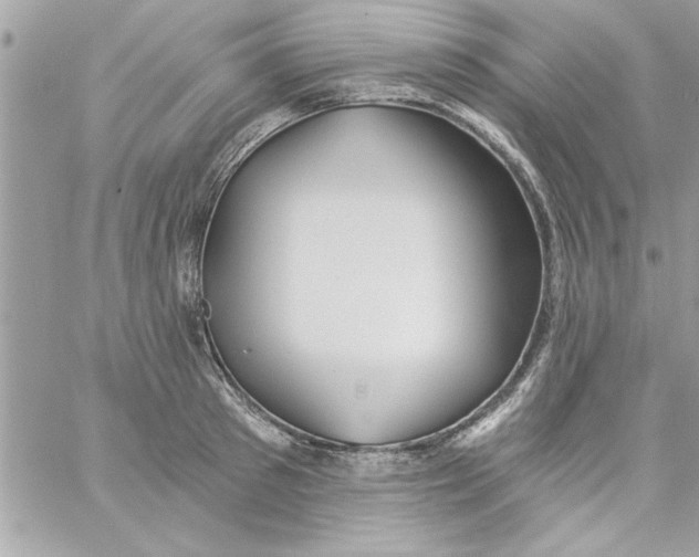 X0000057100897200510071934