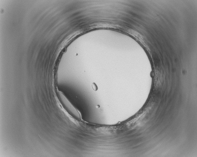 X0000057100898200510071934